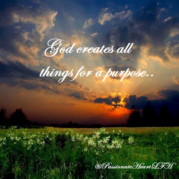 ALL THINGS BEAUTIFUL