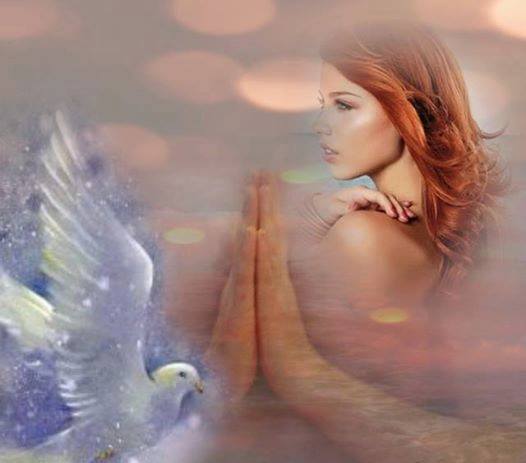 10801495_781816391853779_8499716922733759992_n