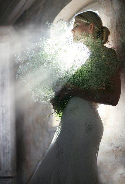 13184_501029466599141_1438304804_n