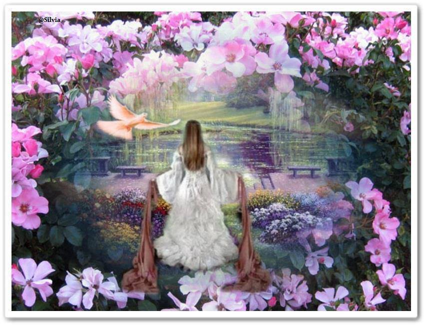 BOOK COVER A MYSTERIOUS RIVER OF LOVE